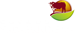 Carnes Sá da Bandeira - Especialista no comércio de carnes e congelados