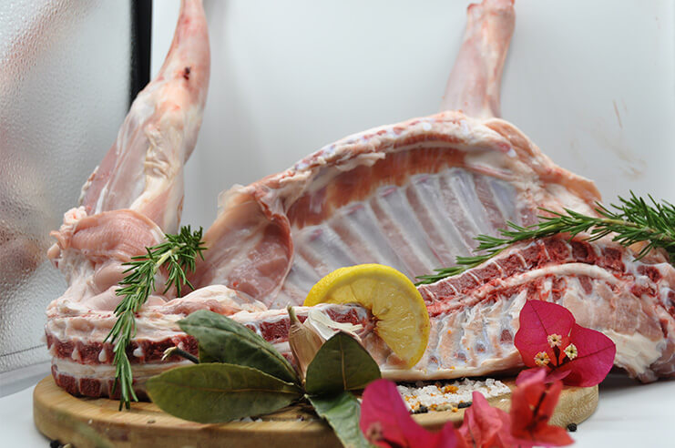 Cabrito